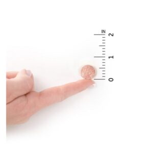 Garden of Life, Dr. Formulated Probiotics, Organic Kids+, Probiotics + Vitamins C & D, 5 Billion, Tasty Organic Watermelon, 30 Yummy Chewables - Image 5