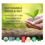 Garden of Life, RAW Fiber, Beyond Organic Fiber, 1.77 lbs (803 g) - Image 4