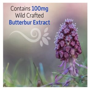 Garden of Life, Herbal Immune Balance, Sinus, 60 Vegetarian Capsules - Image 3