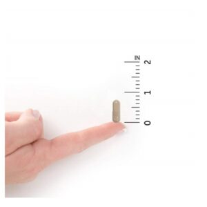 Garden of Life, Herbal Immune Balance, Sinus, 60 Vegetarian Capsules - Image 2