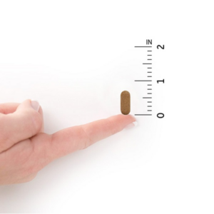 Garden of Life Living Multi Vitamin C, 60 Caplets - Image 5