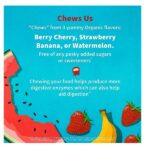 Garden of Life Probiotic Chewable Dr. Formulated Organic Kids+ Supplement, Shelf Stable for Kids - 30 Count - Image 4