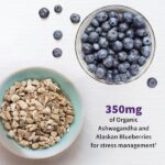 Garden of Life Probiotic and Mood Supplement - Dr. Formulated Mood+ for Digestive and Gut Health, Shelf Stable, 60 Capsules - Image 3