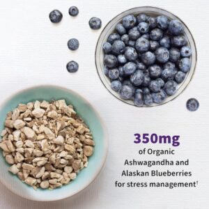 Garden of Life Probiotic and Mood Supplement - Dr. Formulated Mood+ for Digestive and Gut Health, Shelf Stable, 60 Capsules - Image 3