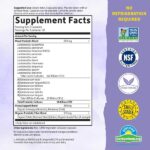 Garden of Life Probiotic and Mood Supplement - Dr. Formulated Mood+ for Digestive and Gut Health, Shelf Stable, 60 Capsules - Image 4