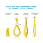 Grow-with-Me Training Toothbrush Set | Infant to Toddler Toothbrush Oral Care for Sensitive Gums by Frida Baby - Image 5