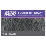 Just For Men Touch Of Gray Black-Gray - Image 3