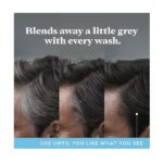 Just for Men Control GX Grey Reducing Dandruff Shampoo 4 Ounce - Image 3