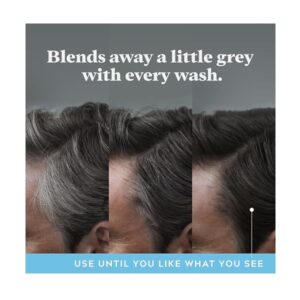 Just for Men Control GX Grey Reducing Dandruff Shampoo 4 Ounce - Image 3