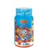Lil Critters Paw Patrol multivitamin gummies 60 count bottle front India