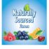 L'il Critters Paw Patrol Multivitamin Gummies – Kids Vitamins (60 Count) - Image 4