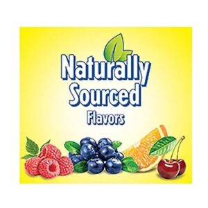 Lil Critters Gummy Vites Daily Kids Gummy Multivitamin - Image 3