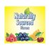 Lil Critters Gummy Vites Daily Kids Gummy Multivitamin - Image 3