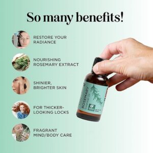 Maple Holistics Anti Aging Antioxidant Natural Skin Care Pure Rosemary Essential Oil Ancient Beauty Elixir - Image 2