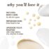 Milk and Honey Body Lotion, 6 oz, 2 pk - Image 4