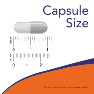 Now Foods Gaba 750mg 100 Veg Capsules - Image 4