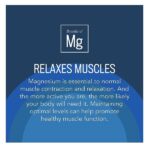 Natural Vitality Calm, Magnesium Citrate Supplement, Stress Relief Gummies, Supports a Healthy Response to Stress, Gluten Free, Vegan, Orange, 240 Gummies - Image 7