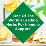 Nature's Bounty Echinacea, 100 Capsules - Image 3