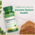 Nature's Bounty Echinacea, 100 Capsules - Image 4