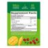 Nature's Truth Cranberry Gummies | 60 Count | Vegan, Non-GMO & Gluten Free Supplement | Supports Urinary Tract Health | Cranberry Mango Flavor - Image 2
