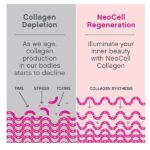 NeoCell Super Collagen Peptides Powder, Unflavored, 15 Servings, Package May Vary, White, 5.3 Oz - Image 4