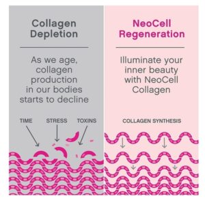 NeoCell Super Collagen Peptides Powder, Unflavored, 15 Servings, Package May Vary, White, 5.3 Oz - Image 4
