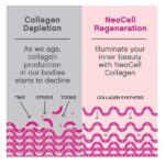 NeoCell Super Collagen Peptides Unflavored Powder Dietary Supplement, 400g - Image 5