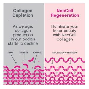 NeoCell Super Collagen Peptides Unflavored Powder Dietary Supplement, 400g - Image 5