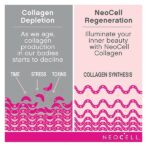NeoCell Super Collagen Powder, 6,600mg Types 1 & 3 Grass-Fed Collagen, Gluten Free, Berry Lemon Flavor, 6.7 Ounces - Image 5