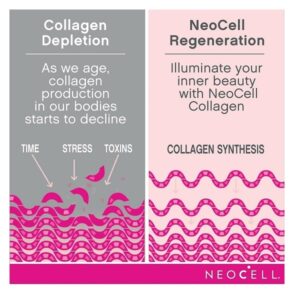 NeoCell Super Collagen Powder, 6,600mg Types 1 & 3 Grass-Fed Collagen, Gluten Free, Berry Lemon Flavor, 6.7 Ounces - Image 5