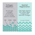 Neocell Super Collagen Peptides Unflavored 600g - Image 5