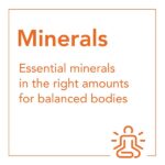 Now Foods, Iron, 18 mg, 120 Vcaps - Image 4