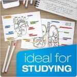 Oxford 3 X 5 Inches Ruled Index Card, 300 Count, White (10013) - Image 4