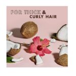 Shea Moisture Coconut & Hibicus Curl & Shine Shampoo, 384 ml - Image 4