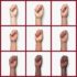 Sally Hansen Nail Polish, Wine Not, 0.5 Ounce - Image 3