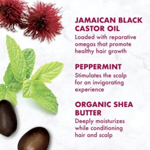 Shea Moisture Jamaican Black Castor Oil Grow & Restore Rinse Out Conditioner, 384 ml - Image 9