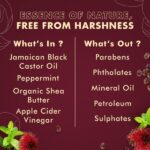 Shea Moisture Jamaican Black Castor Oil Strengthen & Restore Leave-In Conditioner W/ Shea Butter, Peppermint & Apple Cider Vinegar, Pack of 1 - Image 6