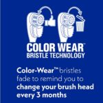 Spinbrush Truly Radiant Toothbrush, Deep Clean, Refill - Image 3