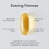 Sports Research Evening Primrose Oil 1300 mg Non - GMO Gluten - free Cold - Pressed with No Fillers or Artificial Ingredients (120 Liquid Softgels) - Image 6