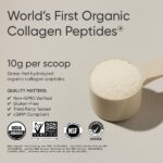 Sports Research Organic Collagen Peptides Unflavored Dietary Supplement Powder, 300g - Image 2