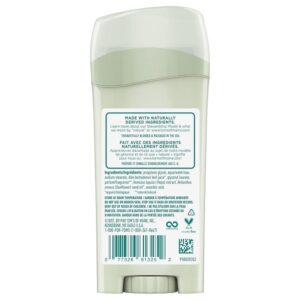 Tom's Of Maine Natural Long-Lasting Deodorant Stick Lemongrass - 2.25 Oz - Image 2