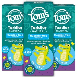 Tom's of Maine Toddlers Fluoride-Free Natural Toothpaste in Gel, Mild Fruit, 1.75 Ounce, 3 Count - Image 1