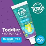 Tom's of Maine Toddlers Fluoride-Free Natural Toothpaste in Gel, Mild Fruit, 1.75 Ounce, 3 Count - Image 2