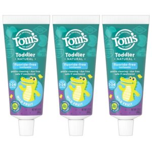 Tom's of Maine Toddlers Fluoride-Free Natural Toothpaste in Gel, Mild Fruit, 1.75 Ounce, 3 Count - Image 5