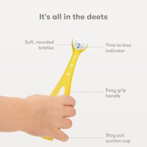 Training Toothbrush for Toddlers | Oral Care by Frida Baby - Image 5