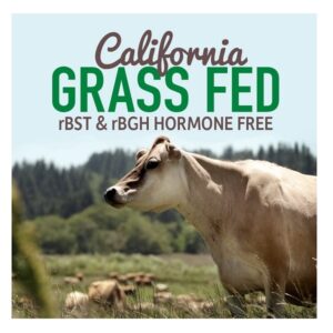 Vanilla, Canister: Garden of Life Protein Powder - Organic Whey Protein Powder, Grass Fed, Vanilla, 13.37 oz (379g) Powder - Image 3