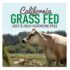 Vanilla, Canister: Garden of Life Protein Powder - Organic Whey Protein Powder, Grass Fed, Vanilla, 13.37 oz (379g) Powder - Image 3