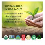 Vanilla, Canister: Garden of Life Protein Powder - Organic Whey Protein Powder, Grass Fed, Vanilla, 13.37 oz (379g) Powder - Image 5