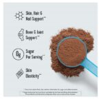 Vital Proteins Collagen Peptides Chocolate Dietary Supplement, 383 g - Image 3