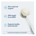 Vital Proteins Marine Collagen Peptides Powder Supplement for Skin Hair Nail Joint - Hydrolyzed Collagen - 12g per Serving - 14.5oz Canister - Image 3